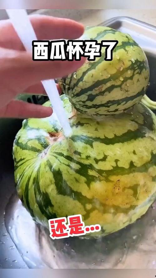 真实吃瓜搞笑视频,笑料百出！真实吃瓜搞笑视频大盘点