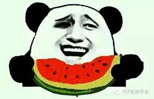 吃瓜群众拍视频加v,揭秘网络红人幕后故事