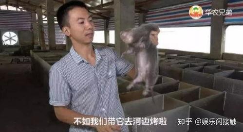 佐手剪辑吃瓜群众视频,揭秘吃瓜群众的幕后故事