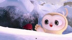 男女对战吃瓜视频,精彩瞬间大盘点