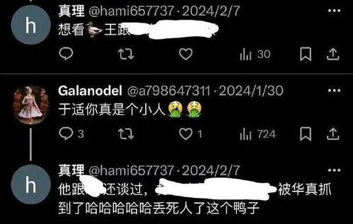 胡连馨视频聊天吃瓜,吃瓜群众的狂欢现场