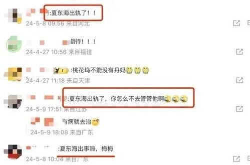 胡连馨视频聊天吃瓜,吃瓜群众的狂欢现场