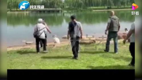 郑州新区吃瓜事件视频最新,视频揭秘背后的惊人真相