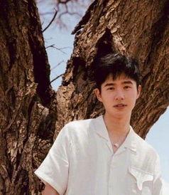 许凯吃瓜采访视频全集在线观看,揭秘明星幕后趣事