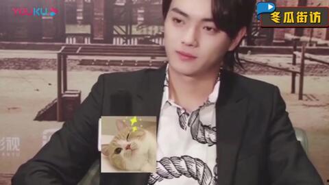 许凯吃瓜采访视频全集在线观看,揭秘明星幕后趣事