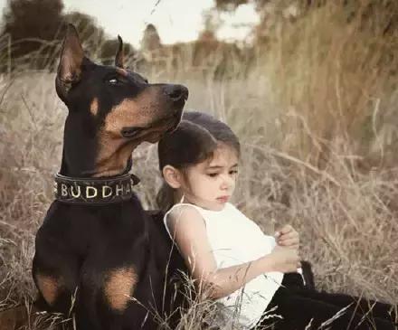 香香公主与爱犬吃瓜视频,萌态十足引网友热议