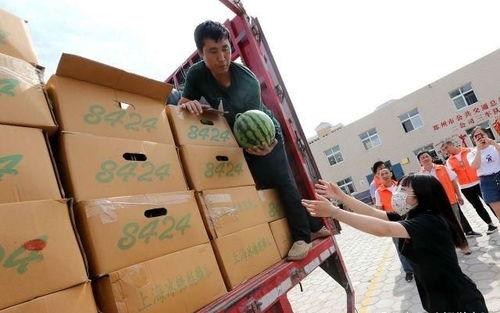 郑州楼顶吃瓜事件视频,高空视角下的邻里冲突与网络热议