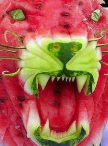 牛的视频吃瓜,憨态可掬的牛儿吃瓜趣事