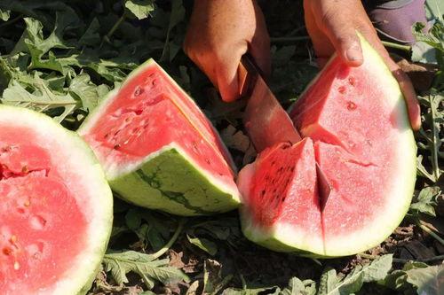 和溪吃瓜视频,揭秘娱乐圈幕后故事