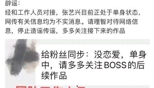 明星吃瓜辟谣图片搞笑视频,搞笑视频里的欢乐瞬间