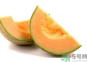 海龟吃哈密瓜视频下载,萌趣视频走红网络