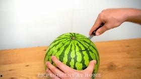 宁津吃瓜视频,揭秘当地特色美食背后的故事