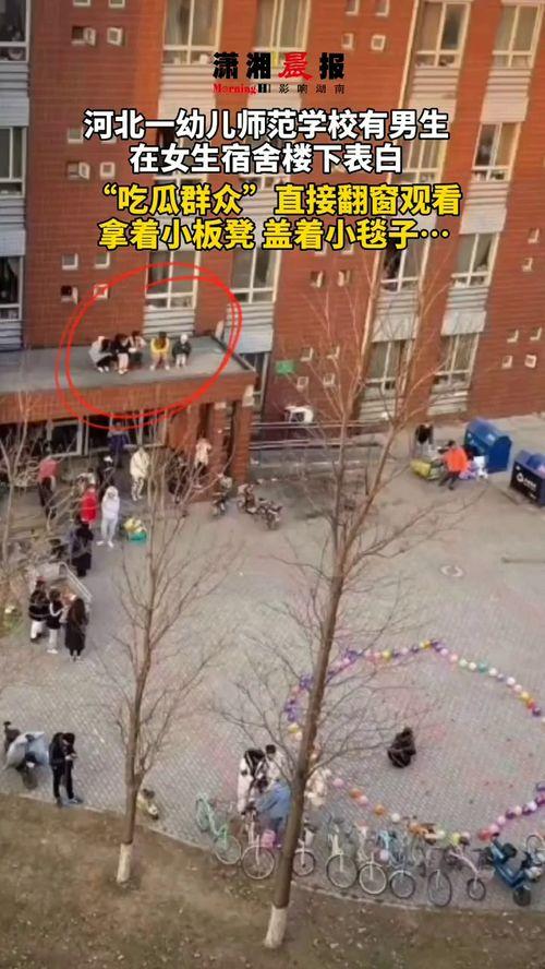 女生宿舍吃瓜视频,揭秘女生宿舍那些吃瓜趣事