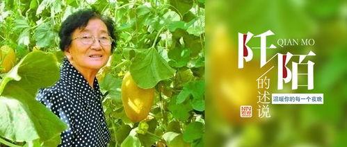 中国人自由吃瓜视频,网络舆论场上的狂欢与反思