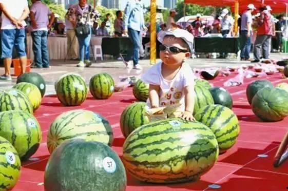 吃瓜大赛最新免费视频下载,最新热门瞬间一键下载