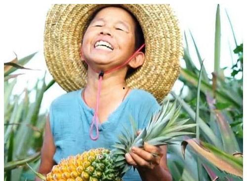 农人吃土瓜视频,农人现场品尝土瓜，感受田园风味