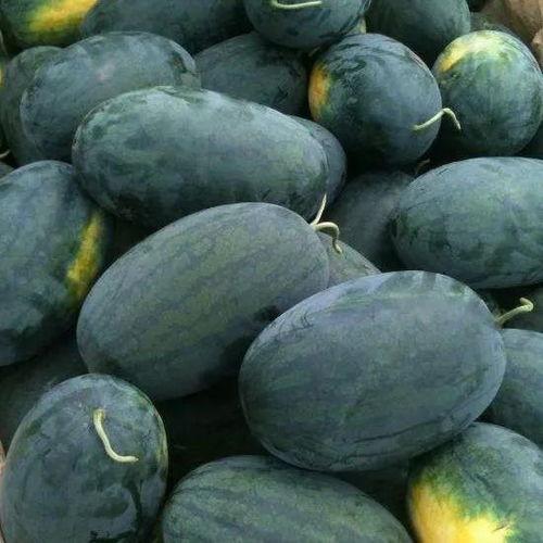 戈优吃瓜视频,揭秘娱乐圈幕后真相，带你领略明星们的真实生活