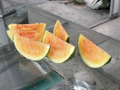 戈优吃瓜视频,揭秘娱乐圈幕后真相，带你领略明星们的真实生活