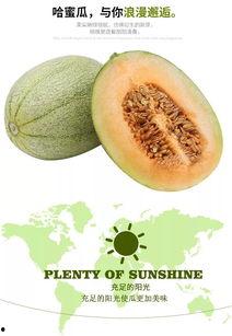 怎么拿哈密瓜做吃的视频,创意视频教你轻松制作美味佳肴