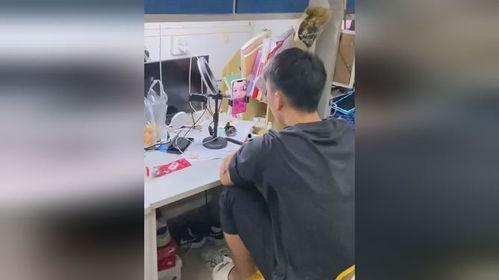 吃瓜男孩拿刀视频播放在线观看,全程高清还原惊心动魄一幕