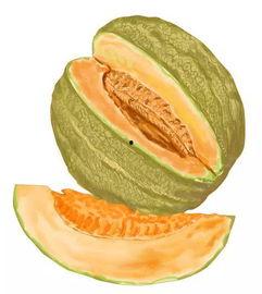 猴姐吃哈密瓜视频,哈密瓜盛宴来袭！