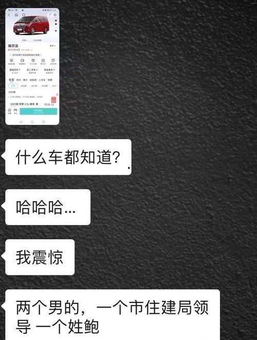 吃瓜的聊天视频,趣味横生的网络社交现象