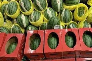 学生六点吃瓜视频大全,学生们的欢乐视频大盘点