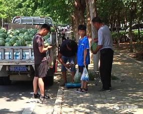 南康吃瓜群众事件视频大全,视频揭秘背后的真相与争议