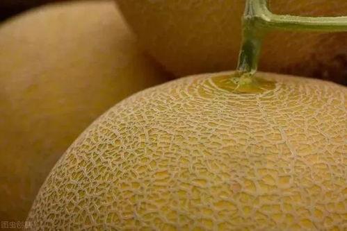 哈密瓜怎么吃才甜呢视频,解锁美味甜食的烹饪技巧