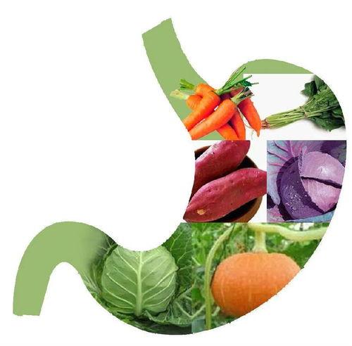 吃角瓜对胃有好处吗视频,揭秘传统食材的神奇功效