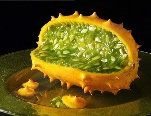 吃角瓜对胃有好处吗视频,揭秘传统食材的神奇功效