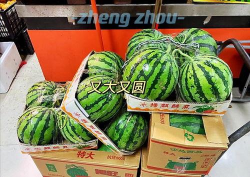 郑州工商吃瓜视频,揭秘背后惊人真相