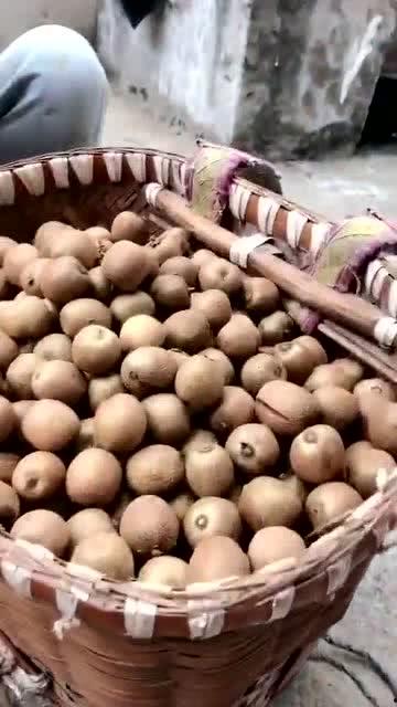 野生瓜怎么吃视频,野生瓜的多样食用方法揭秘