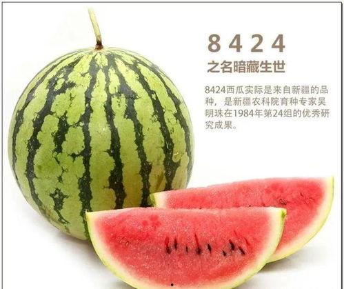 王果儿八卦吃瓜视频大全,热门八卦吃瓜视频大盘点