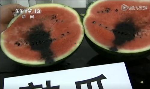 新安吃瓜事件视频,一场网络狂欢背后的真相揭秘