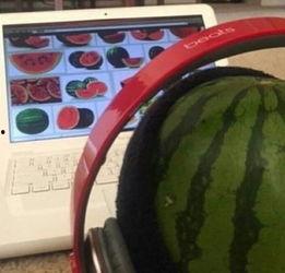 吃瓜看瓜有瓜视频