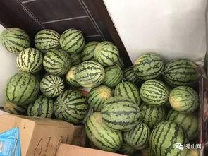 韩城吃瓜视频哪里可以看