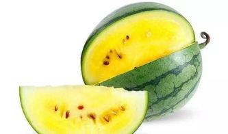 韩城吃瓜视频哪里可以看