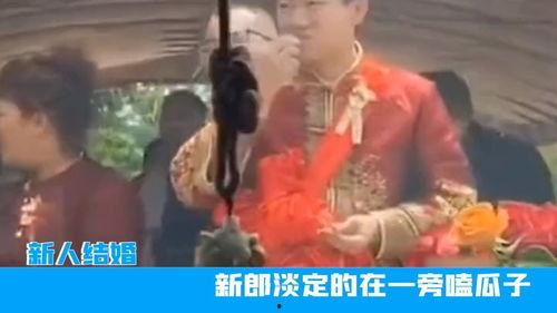 新郎婚前吃瓜视频播放在线观看,在线观看引发热议