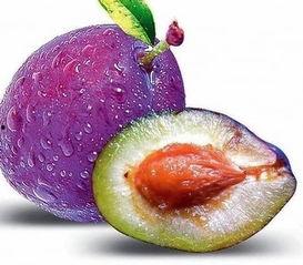 乳瓜早上吃减肥吗好吗视频,揭秘早晨食用乳瓜的神奇效果